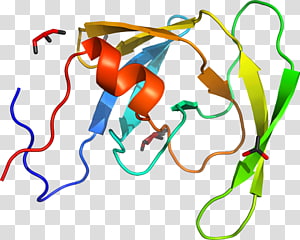 Line Point Organism , line transparent background PNG clipart thumbnail
