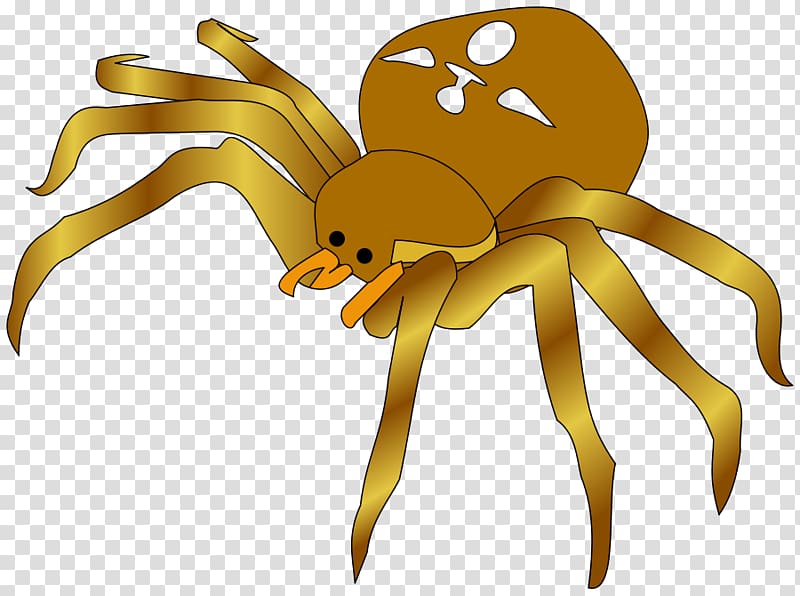 Black widow spider Free content , Halloween Spiders transparent background PNG clipart