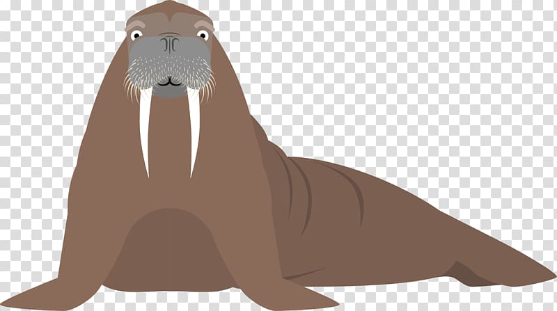 Sea lion Walrus Cartoon Fauna Illustration, Hand painted seal transparent background PNG clipart