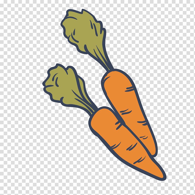 Drawing Carrot Vegetable Food, carrot transparent background PNG clipart