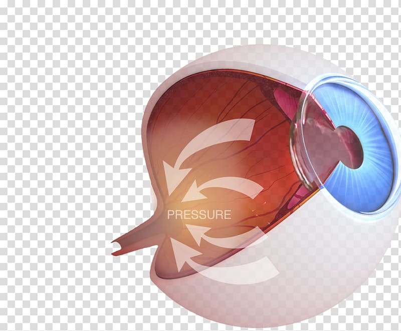 Female Genital Cutting The Eye in 3D Hardcover Female genital mutilation, book transparent background PNG clipart