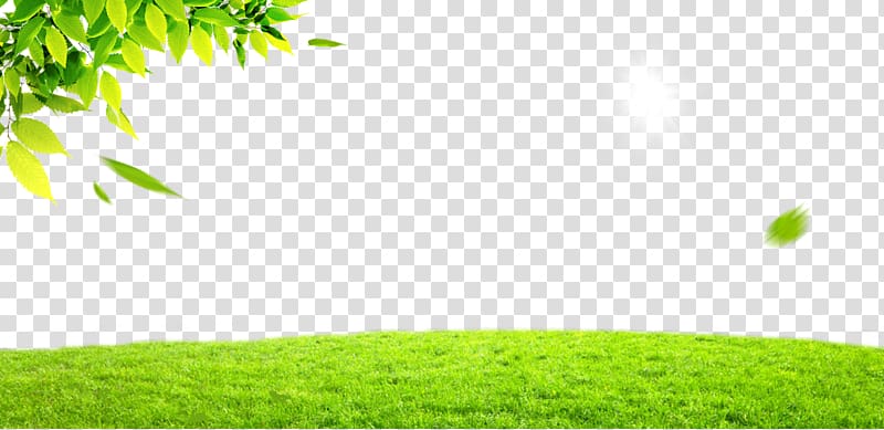 Green Leaf, Spring green grass leaves transparent background PNG clipart
