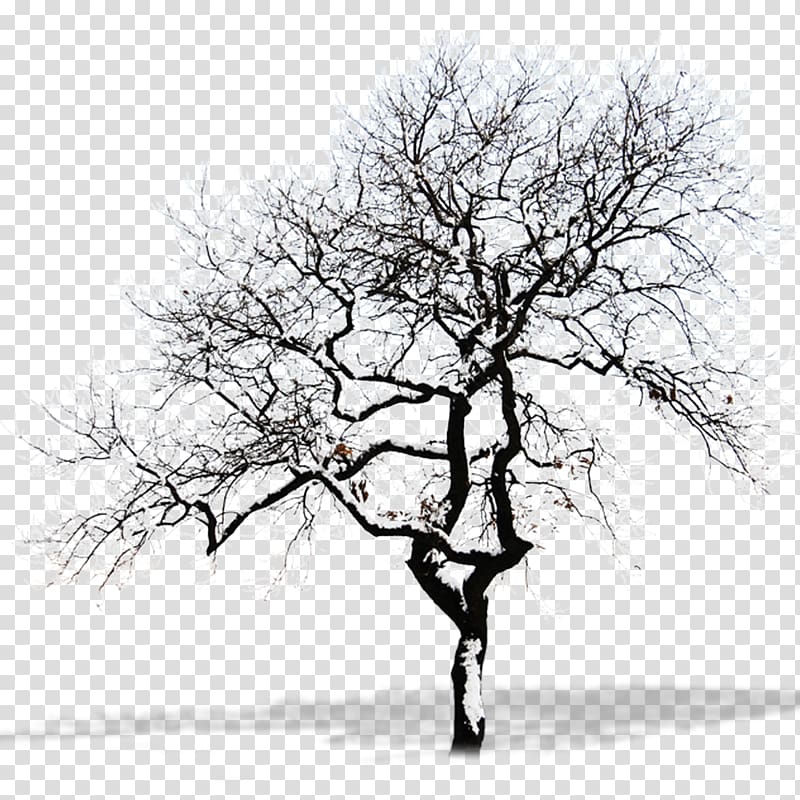 Snow Tree Branch, Free to pull the snow dead tree material transparent background PNG clipart