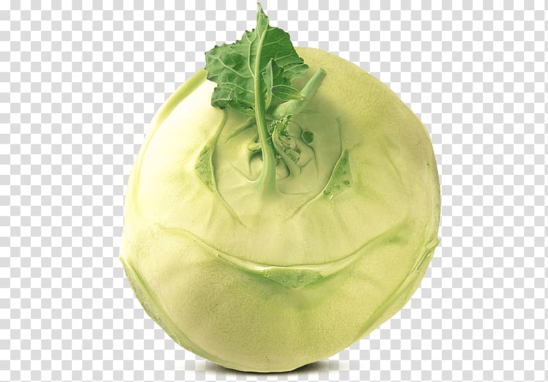 Cruciferous vegetables Kohlrabi Olericulture Food, fennel leaf in kind transparent background PNG clipart
