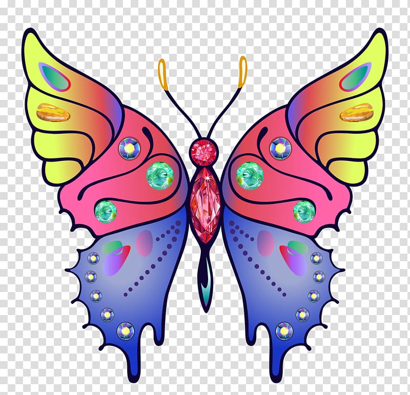 Butterfly Papillon dog Color , butterfly transparent background PNG clipart