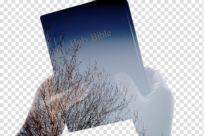 Bible study New Testament God\'s Word Translation Religious text, Creative books transparent background PNG clipart