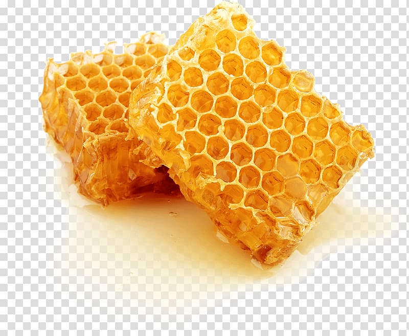 Beehive Honeycomb Honey bee, bee transparent background PNG clipart