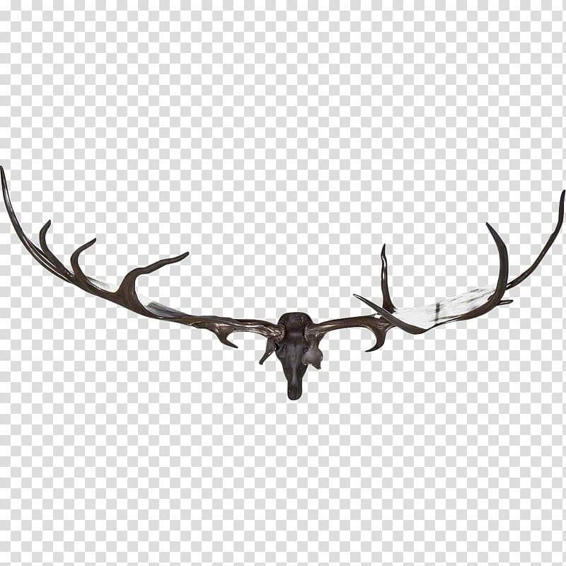 Elk Aynhoe Park Deer Horn Antler, Antler transparent background PNG clipart