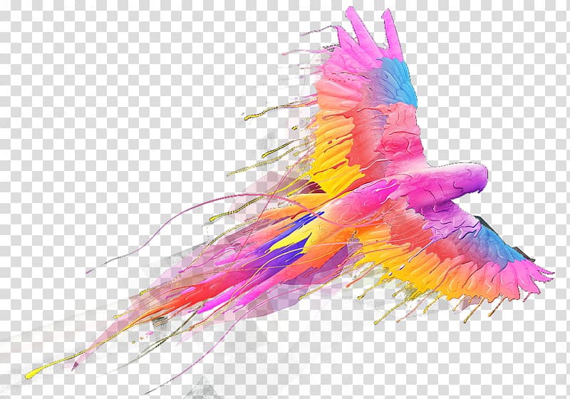 pink, yellow and blue bird painting, Parrot Bird, Colored parrot flying transparent background PNG clipart