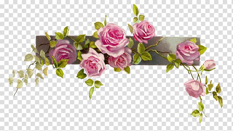 Pink flowers Rose , Flowery Border transparent background PNG clipart