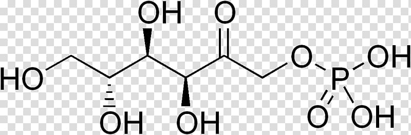 Ribose 5-phosphate Ribose-5-phosphate isomerase deficiency Chemistry, others transparent background PNG clipart