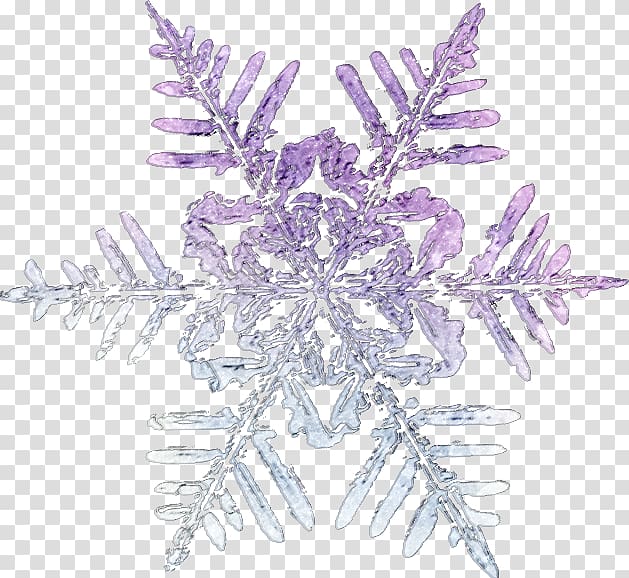 Snowflake Winter , новый год transparent background PNG clipart