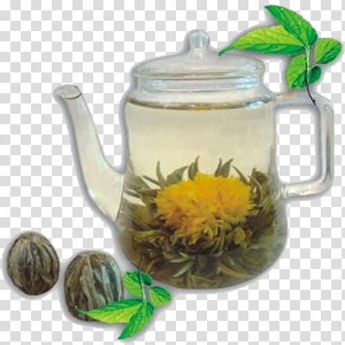 Flowering tea Green tea Earl Grey tea Bubble tea, green tea transparent background PNG clipart