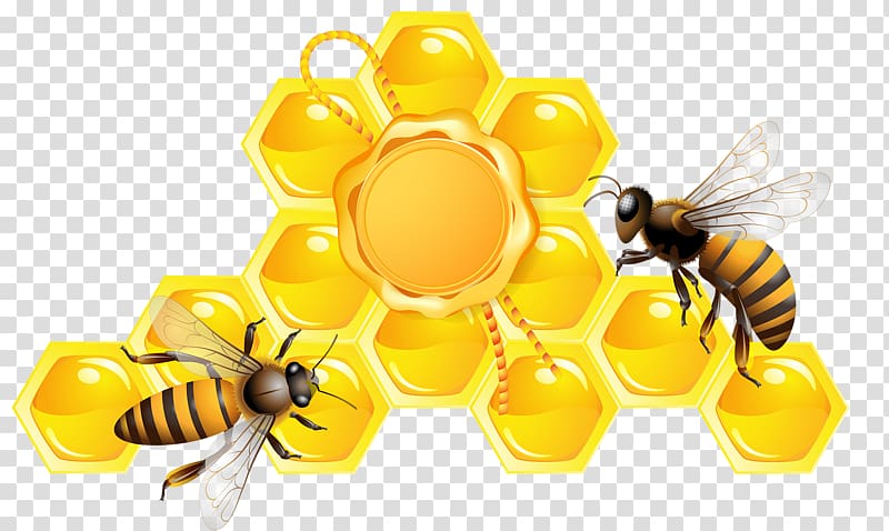 two honeybees and yellow honeycomb illustration, Honey bee Beehive, Golden honey transparent background PNG clipart