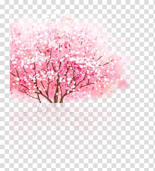 Cherry blossom Cerasus, Fresh and beautiful cherry tree transparent background PNG clipart