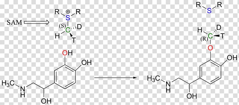 Methyl group Methyltransferase SN2 reaction Chemistry Chemical reaction, Art Of Writing Reasonable Organic Reaction Mechani transparent background PNG clipart