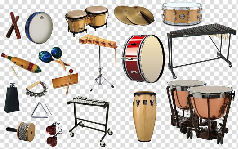 Percussion Family Musical Instruments Woodwind instrument Drum, Family transparent background PNG clipart