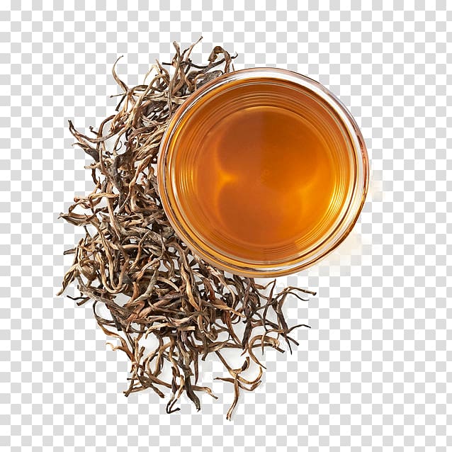 Dianhong Nilgiri tea Golden Monkey tea White tea, tea transparent background PNG clipart