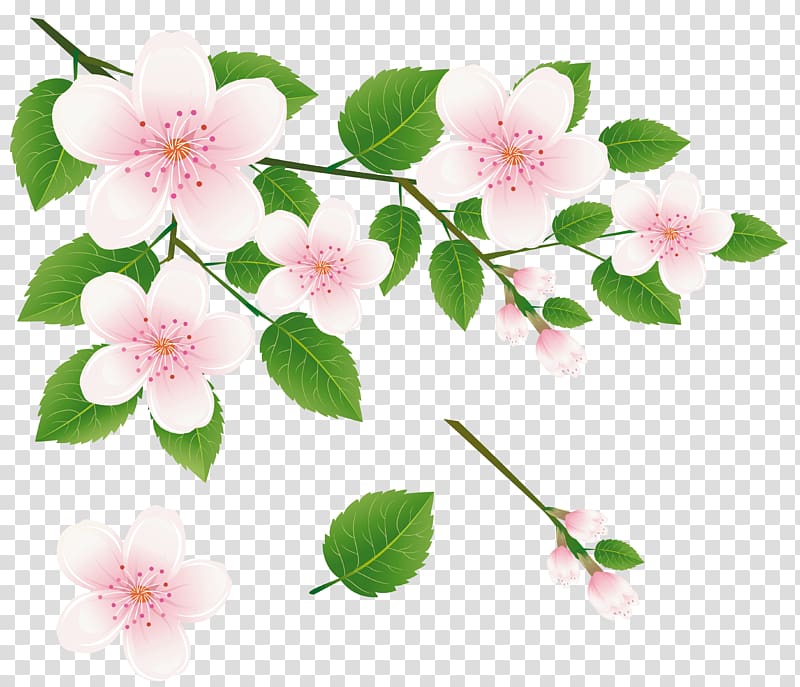 Flower Spring Branch , Green Branch transparent background PNG clipart