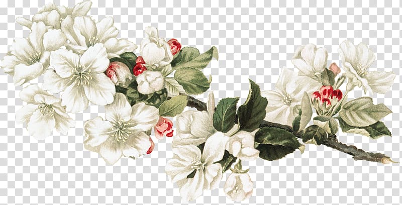 Floral design Cut flowers Honey Collage, flower transparent background PNG clipart