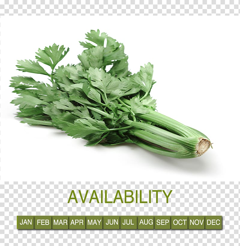 Leaf vegetable Food Celery Herb, vegetable wholesale transparent background PNG clipart