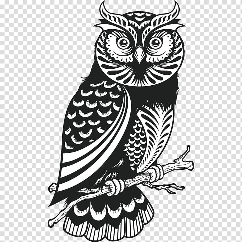 owl illustration, Owl Drawing , owls transparent background PNG clipart
