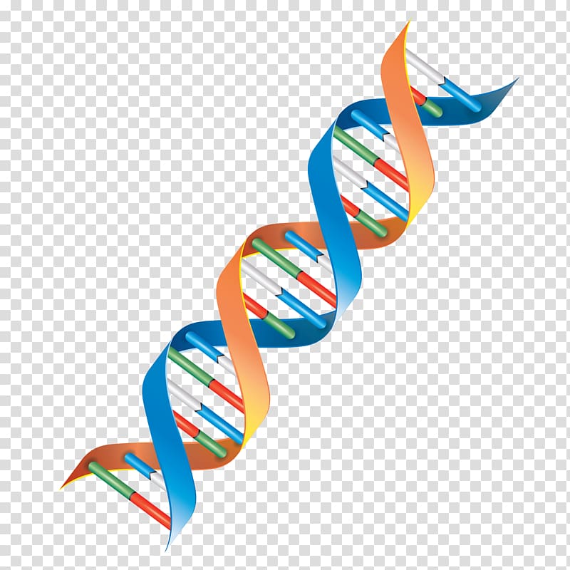 DNA Genetics Cell , others transparent background PNG clipart