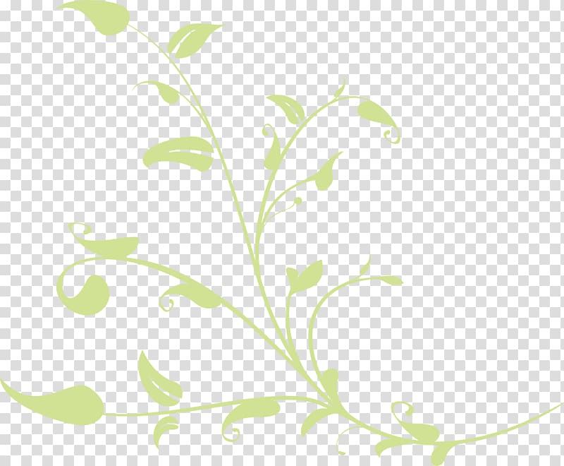 Twig Plant stem Leaf Flower , sweet-scented osmanthus transparent background PNG clipart