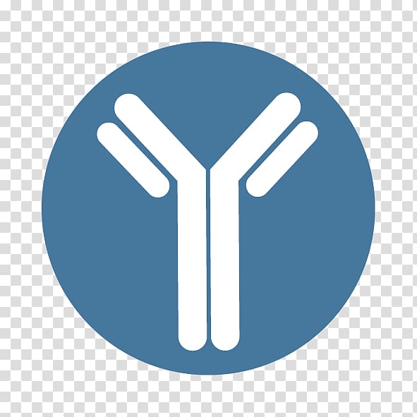 Monoclonal Antibody Transparent Background Png Cliparts Free Download Hiclipart