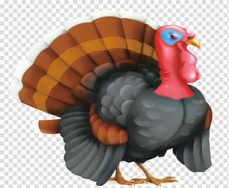 Turkey meat Cartoon , Peacock material transparent background PNG clipart