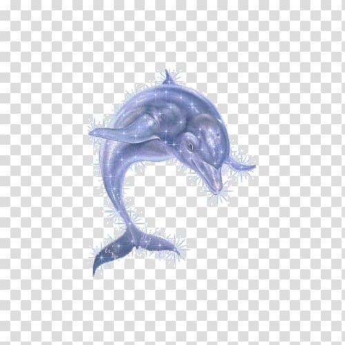 Oceanic dolphin, Barbed dolphin transparent background PNG clipart