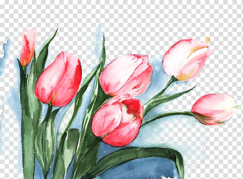 pink tulip flowers painting, Tulip Watercolor painting Flower, Pink Tulips watercolor material transparent background PNG clipart