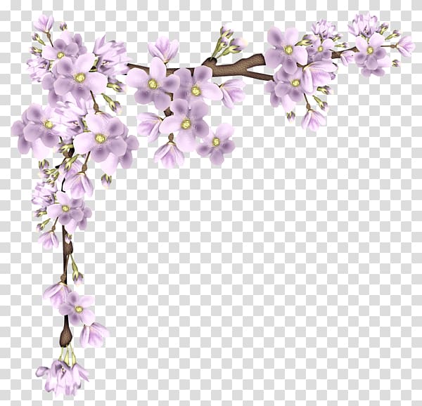 purple flowrs, , Floating cherry border material transparent background PNG clipart