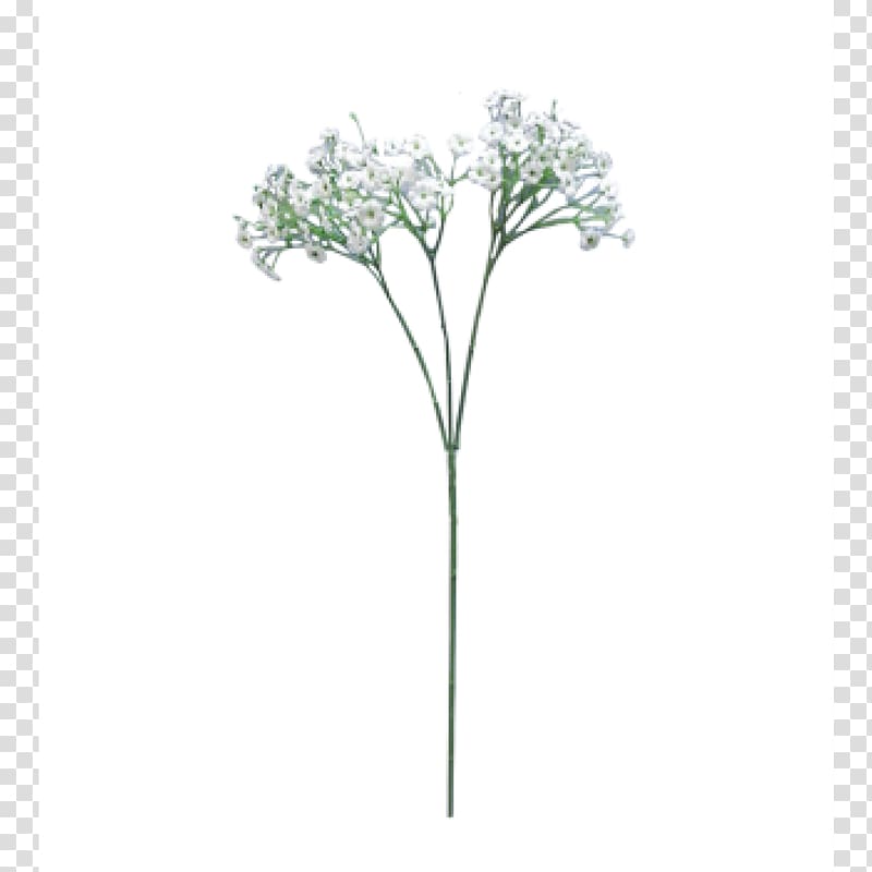 Flower bouquet Baby\'s-breath Plant stem Cut flowers, baby breath transparent background PNG clipart