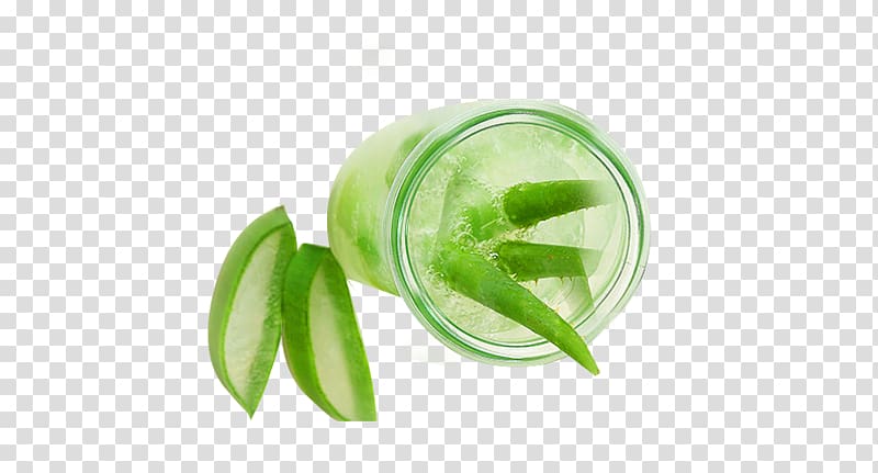 Aloe vera ArtWorks, Aloe vera transparent background PNG clipart