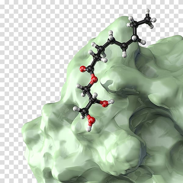 Histamine H1 receptor Illustration Organism Science, Immunity transparent background PNG clipart