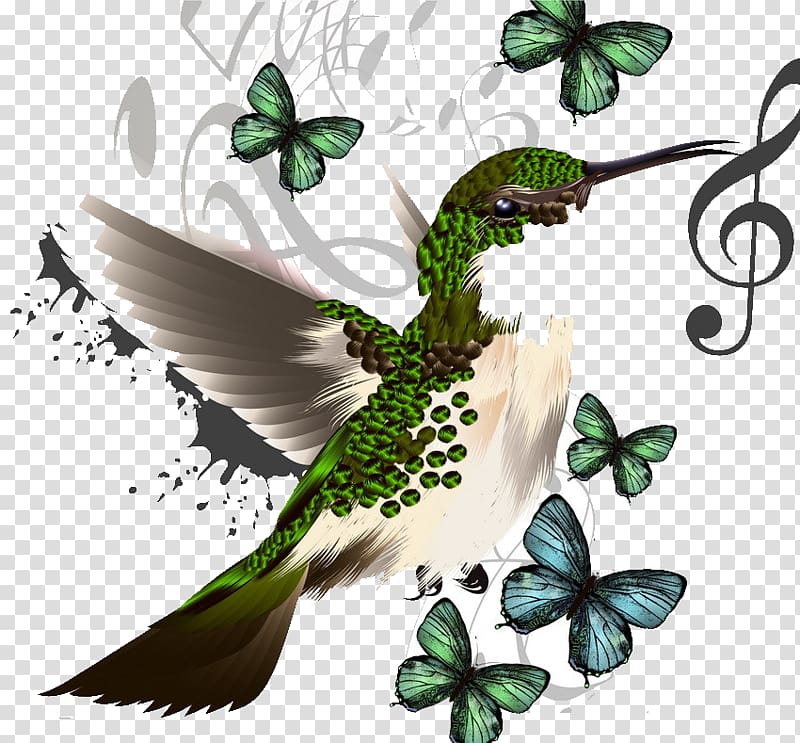 Musical note illustration , sparrow transparent background PNG clipart