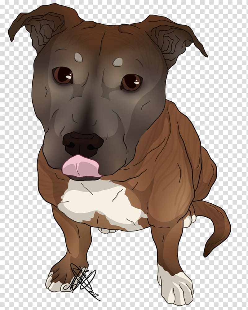 American Pit Bull Terrier Dog Breed