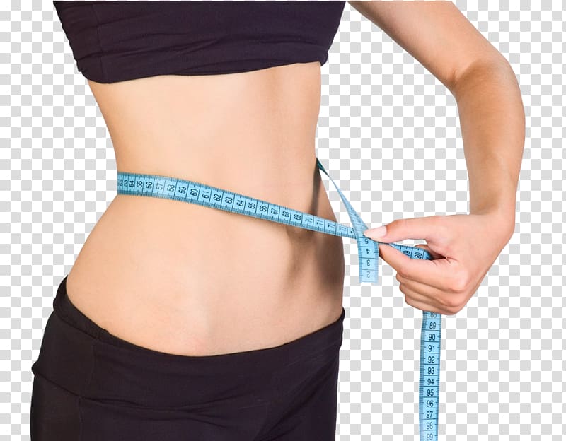 Weight loss Conjugated linoleic acid Liposuction Adipose tissue Cryolipolysis, others transparent background PNG clipart