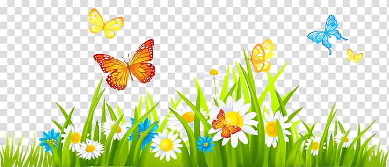 white flowers surrounded with butterflies illustration, Garden , chamomile transparent background PNG clipart