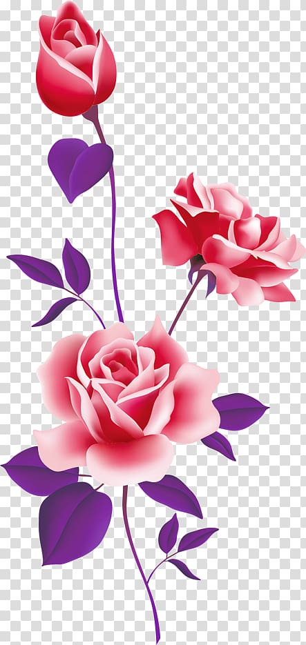 Rose Pink Free content , floral flowers transparent background PNG clipart