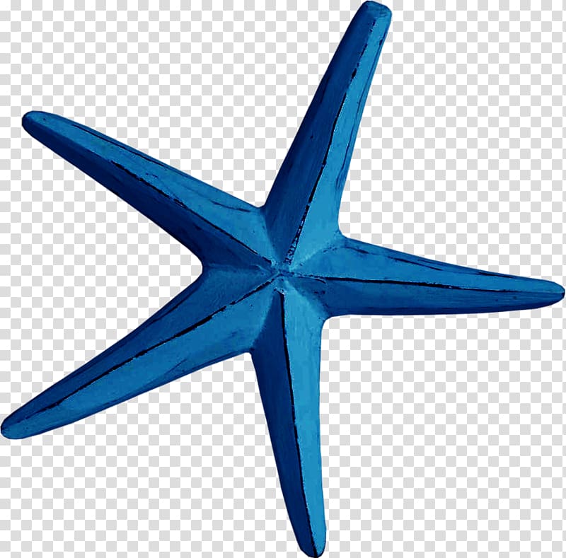 Starfish Blue Creativity Euclidean , Creative blue starfish transparent background PNG clipart