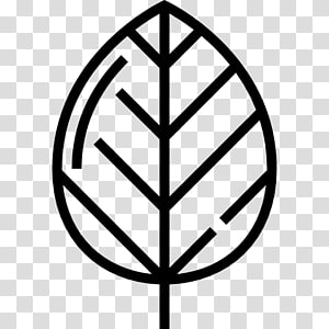 Drawing Leaf , Leaf transparent background PNG clipart thumbnail