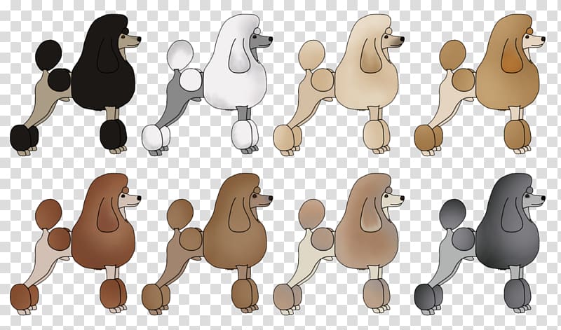 Canidae Cat Dog, poodle Dog transparent background PNG clipart