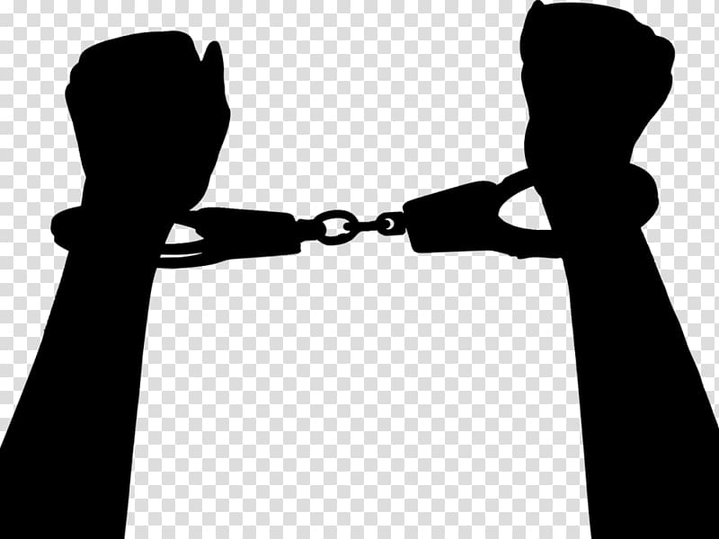 Criminal law Crime Criminal defense lawyer Indian Penal Code, lawyer transparent background PNG clipart