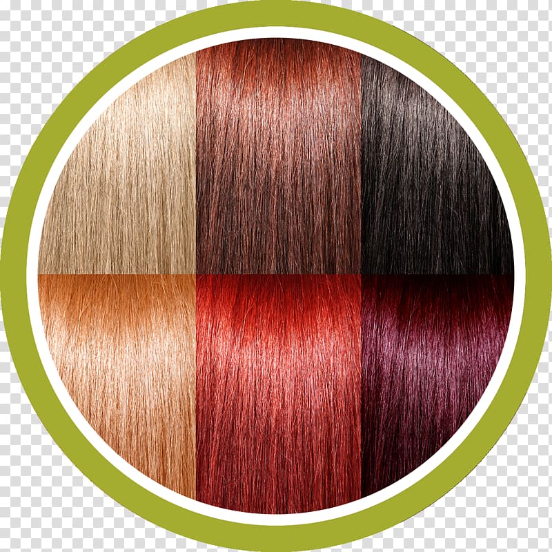Hair coloring Long hair 02PD, Circolo del Partito Democratico di Milano RED.M, hair transparent background PNG clipart