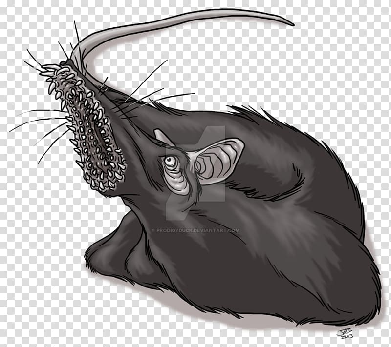 Dire rat Animal Leech Drawing, Rat & Mouse transparent background PNG clipart