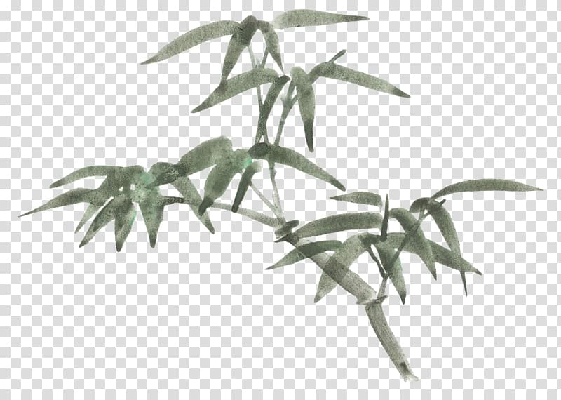 Bamboo Cartoon Drawing, Hand-painted bamboo pattern,Cartoon painted bamboo transparent background PNG clipart