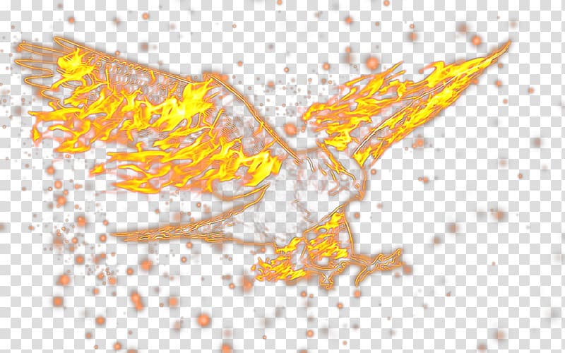 Bird Flame Fire, Bird flame transparent background PNG clipart