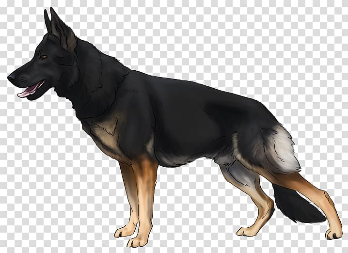 Old German Shepherd Dog East-European shepherd King Shepherd Kunming wolfdog, puppy transparent background PNG clipart